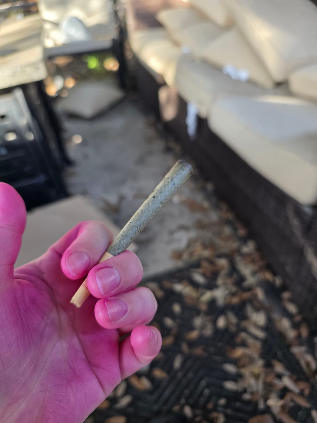 Customer photo review of THCA BLUEBERRY MUFFIN DONUTS