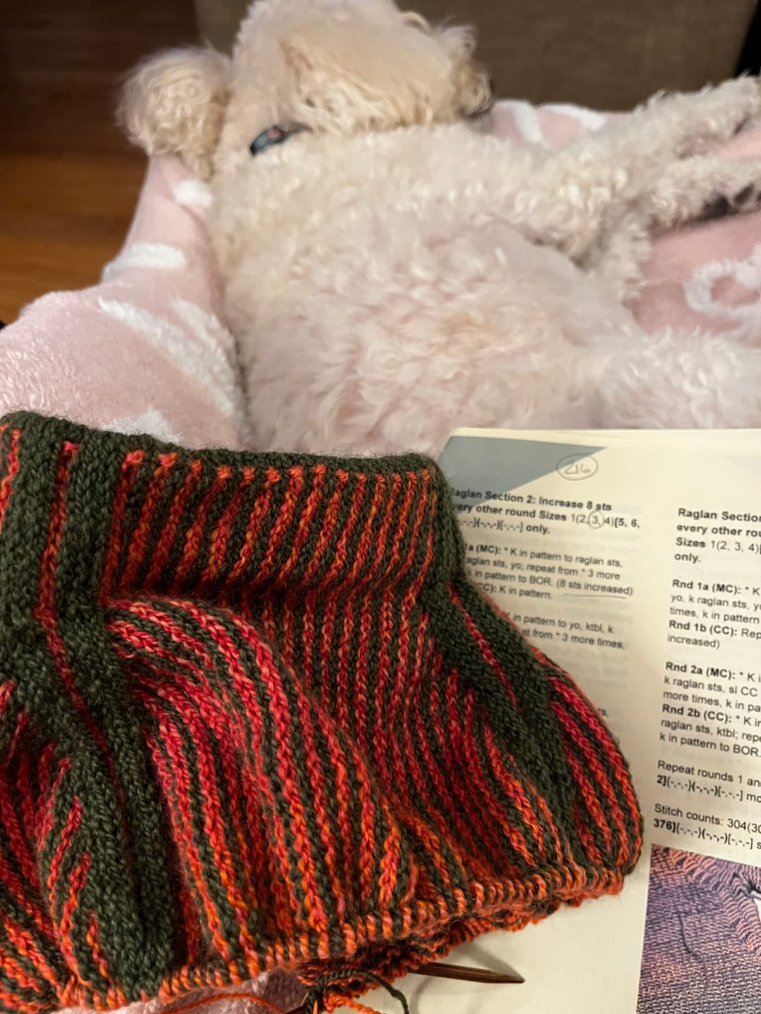 Customer photo review of Roots Lite: Forest