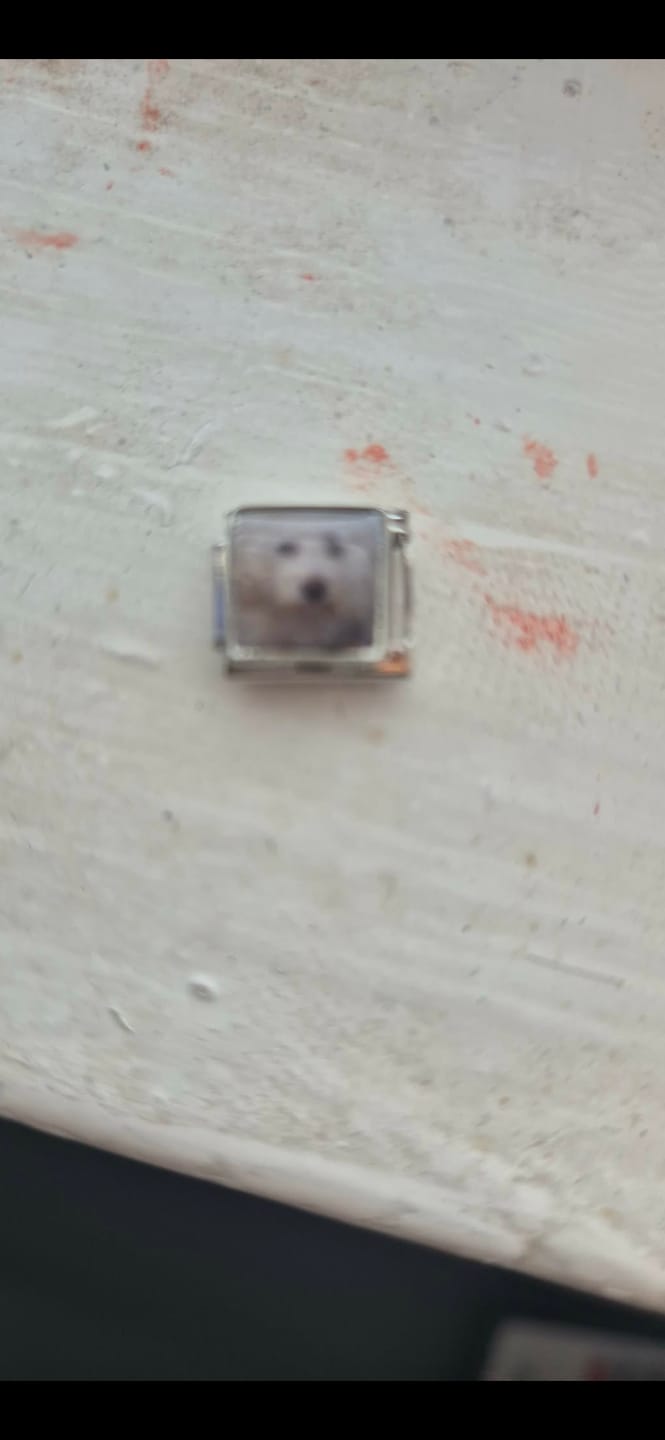 Customer photo review of Custom Charm