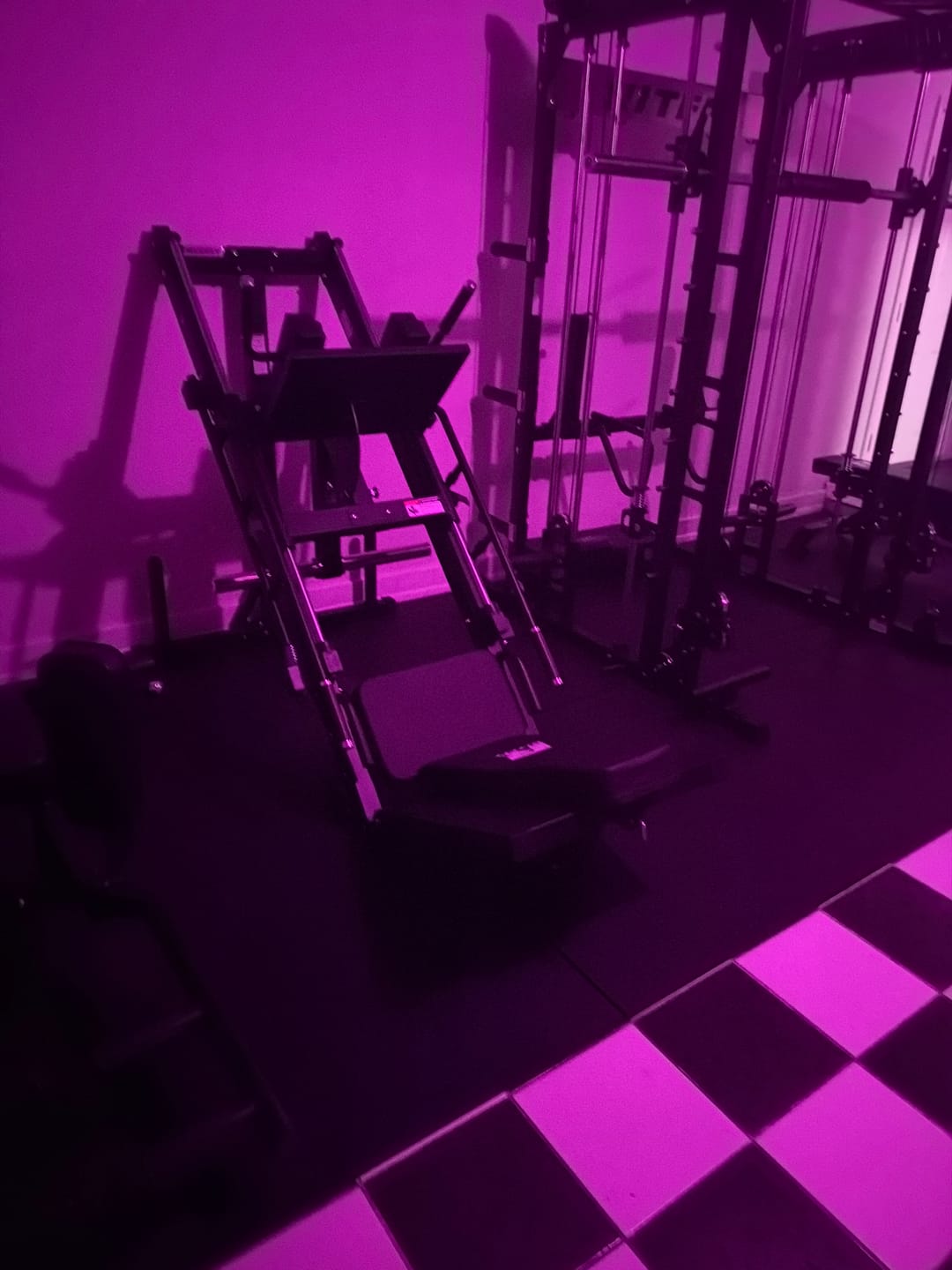 Customer photo review of RitFit BLP01 45 Degree 3-In-1 Leg Press Hack Squat and Calf Raise Machine