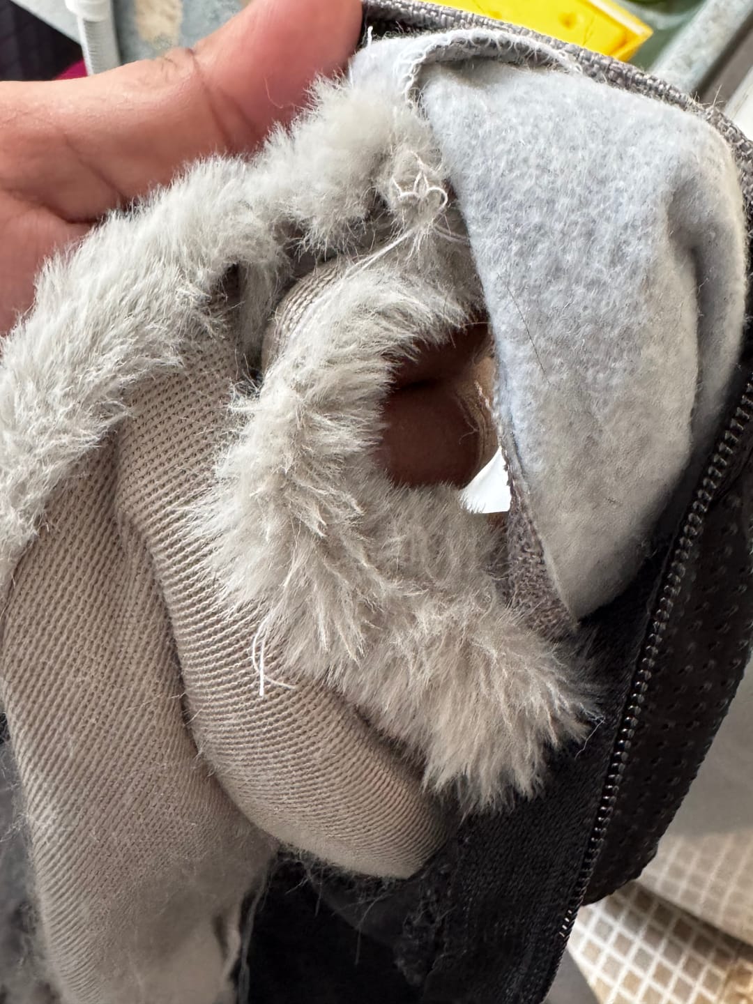 Customer photo review of Cama Sofá para Perros