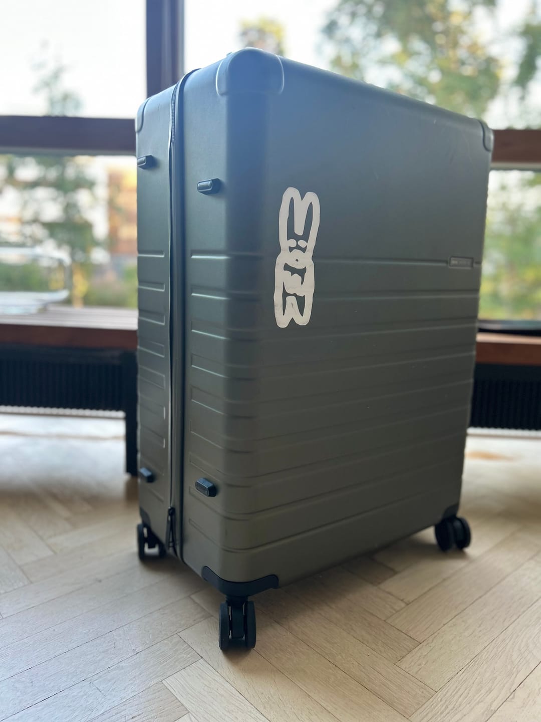 Customer photo review of Essential Collection Suitcase Dark Olive Metallic