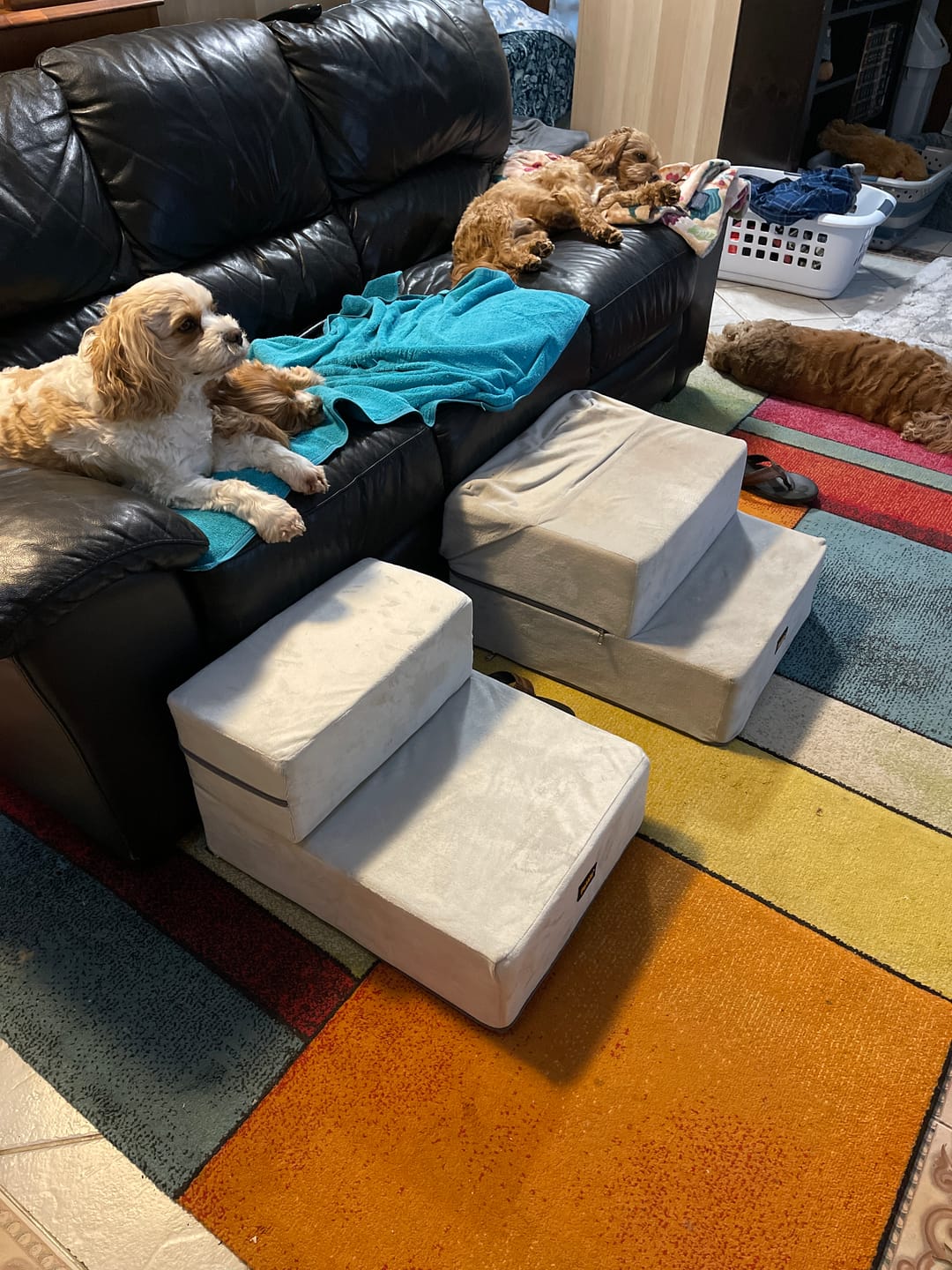 Customer photo review of Detachable Pet Stairs Light Grey
