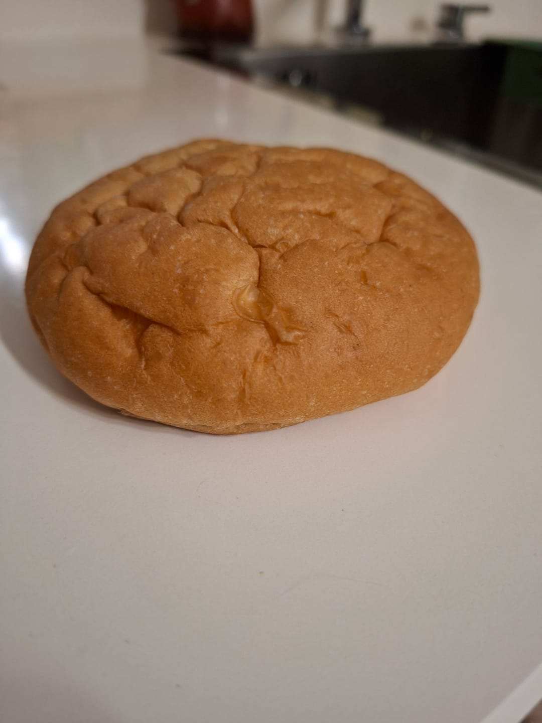 Customer photo review of Panino Kegràn