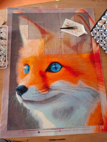 Customer photo review of Diamond Painting Eigenes Bild