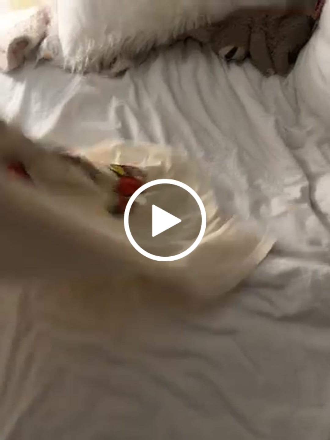 Customer video review of Old Time St. Louis Baseball T-Shirt