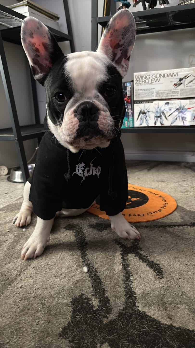 Customer photo review of Personalised Dog Hoodie Black Metal Font