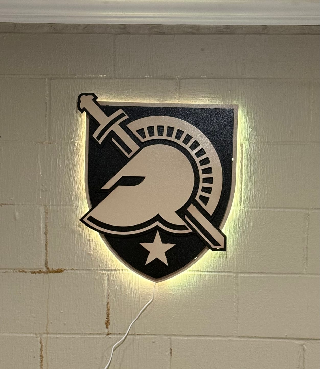 Customer photo review of US Military Academy ARMY West Point Shield 3D Metal Wall Art