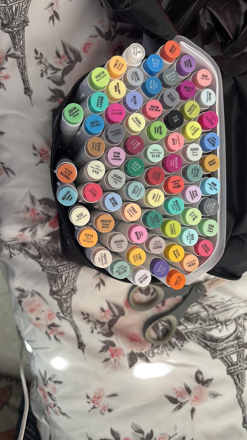 Customer photo review of Ohuhu Honolulu 72 Colors Dual Tips Alcohol Art Markers (New Color Codes)