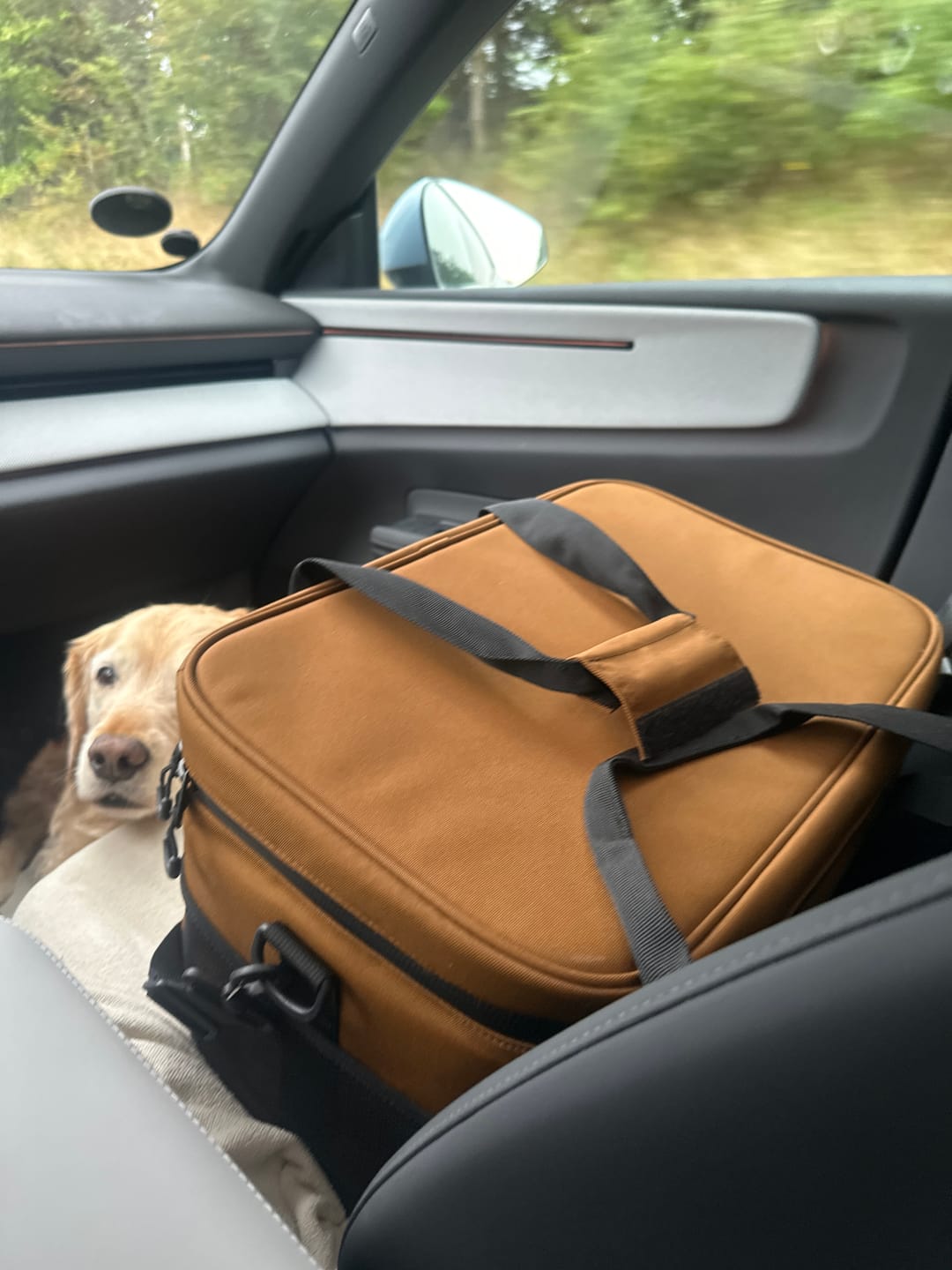 Customer photo review of Cooler Bag Hamilton Brown