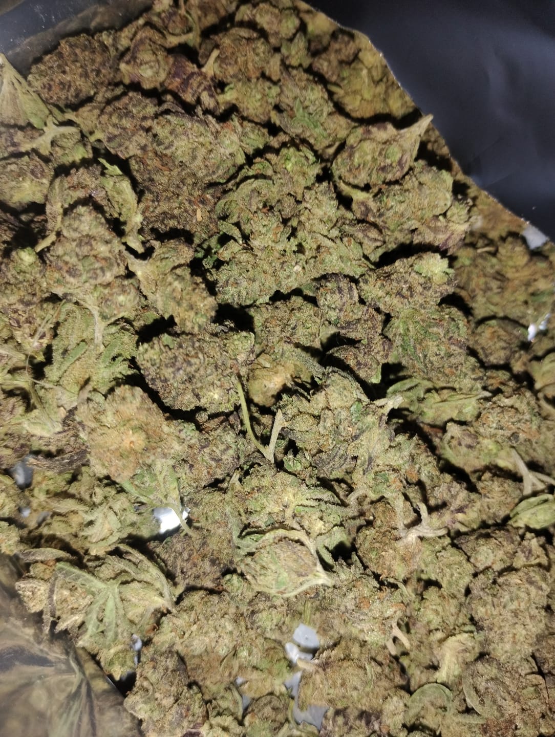 Customer photo review of Cali Kush Smalls (BOGO)