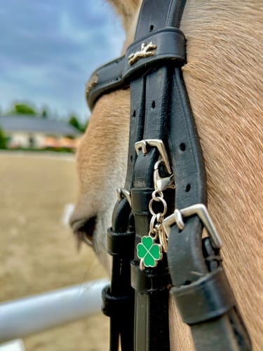 Customer photo review of GLÜCKSKLEE Charm