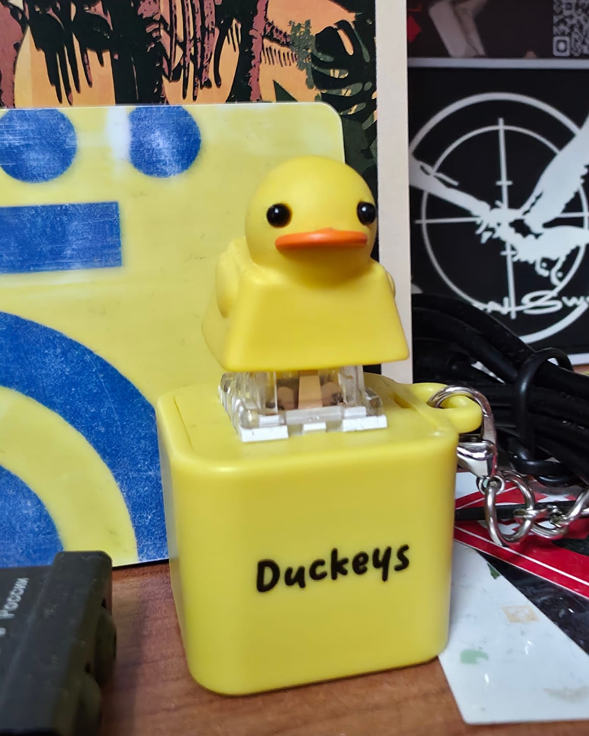 Customer photo review of Quackey - Fidget Toy that Quacks!