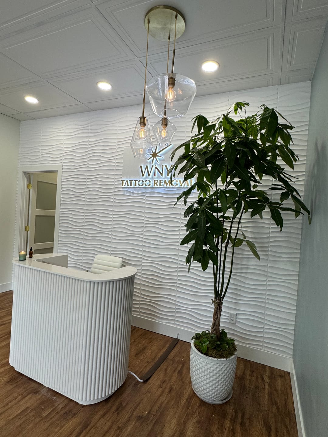 Customer photo review of Money Tree Braided, Tree Form, Pachira Aquatica, Good Luck Tree