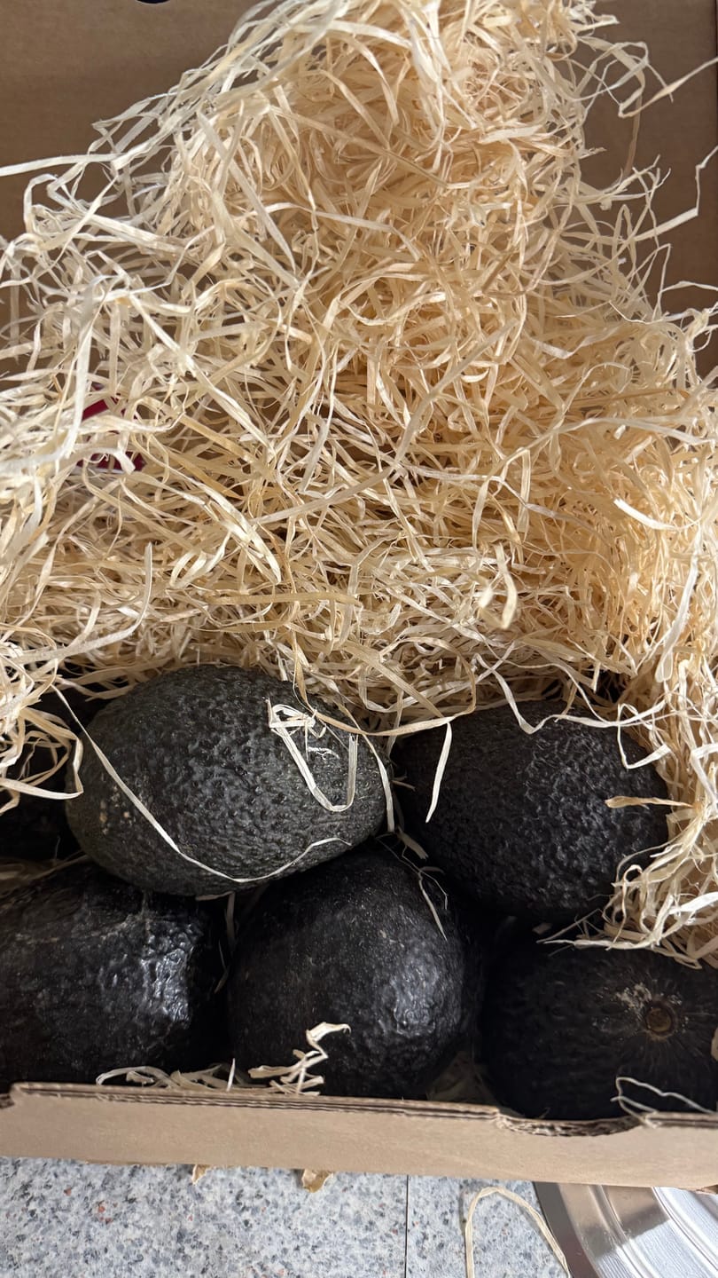 Customer photo review of Avocado Hass & Lamb Hass 15 Monate baumgereift von Julian