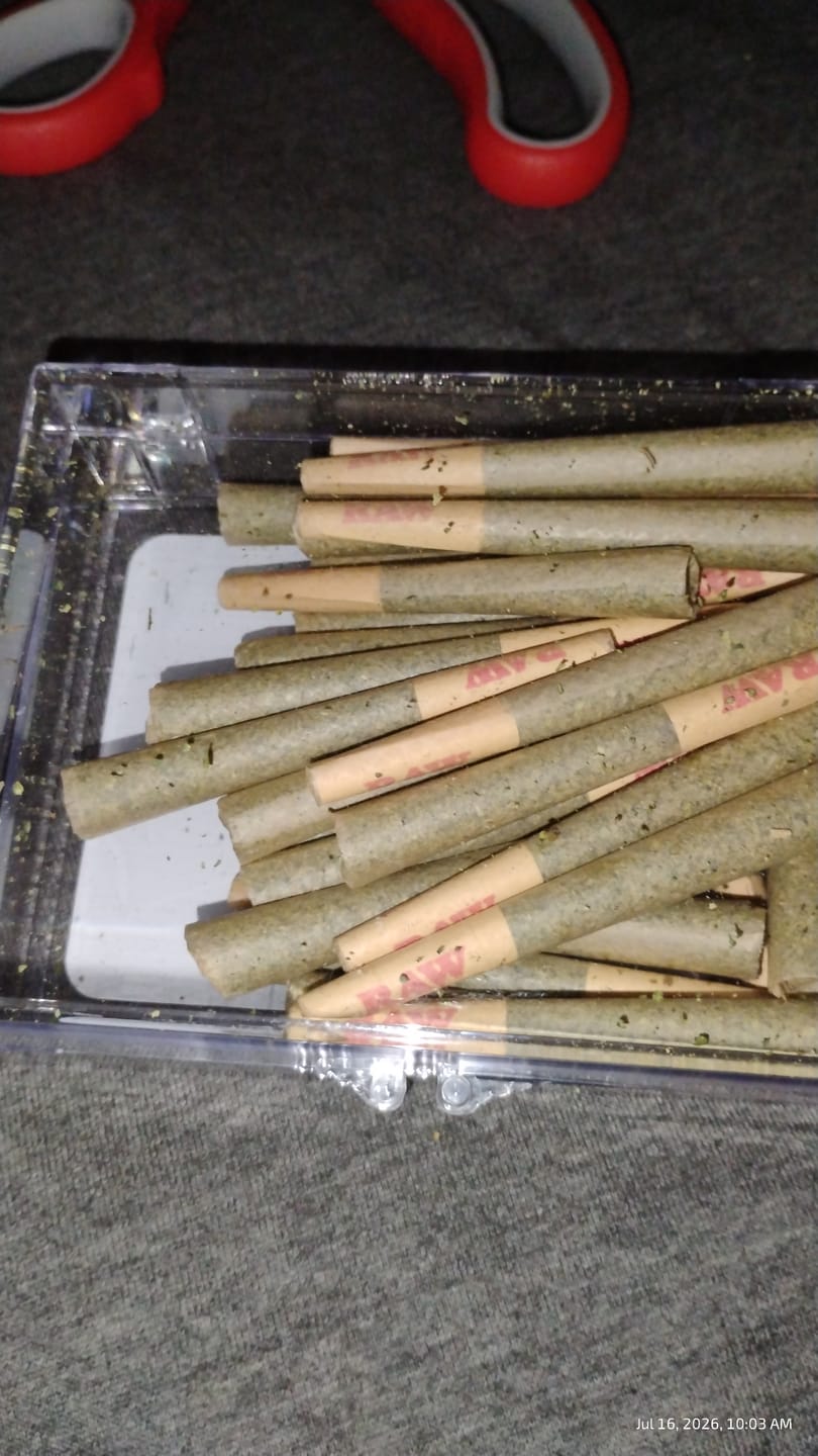 Customer photo review of Dank Forest 30ct. Pre-Rolls 1g