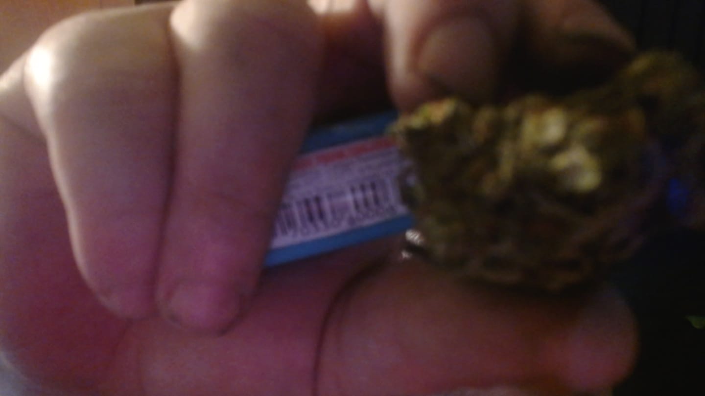 Customer photo review of Platinum Bubba - Bulk - Indica