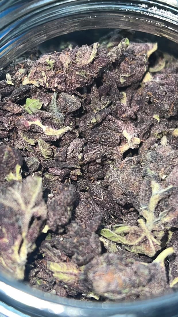Customer photo review of Blueberry Muffins Mediums - Bulk Mediums - Indica