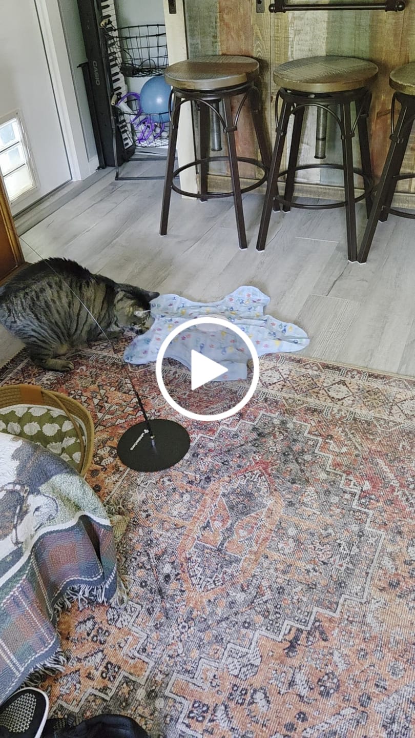 Customer video review of PEEKY TAIL 2.0