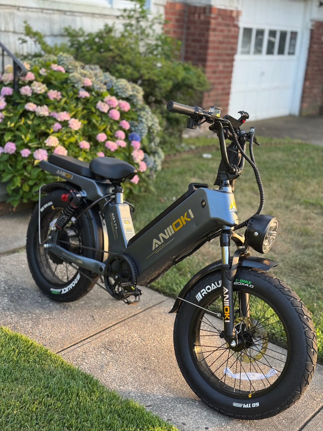 Customer photo review of AQ177 Pro Max eBike