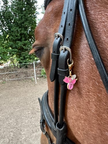 Customer photo review of FLY HIGH PIGGY Charm