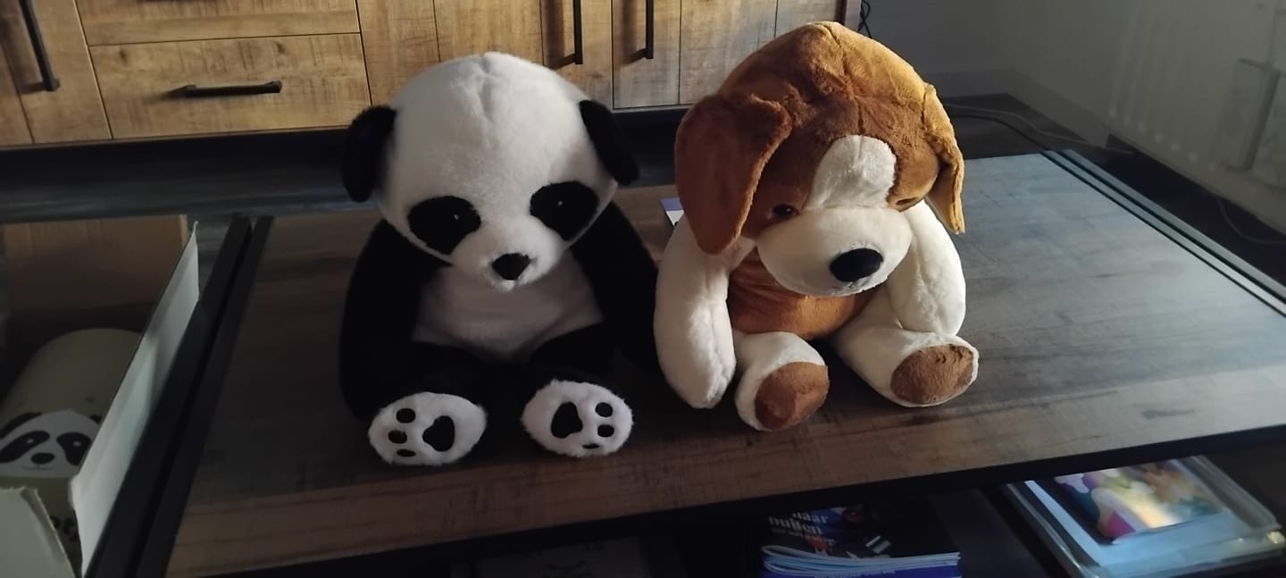 Customer photo review of Lotgenootje Hond 2kg