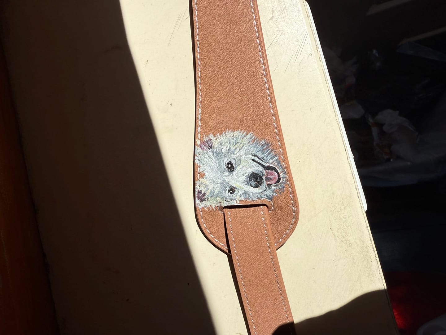 Customer photo review of The Leash