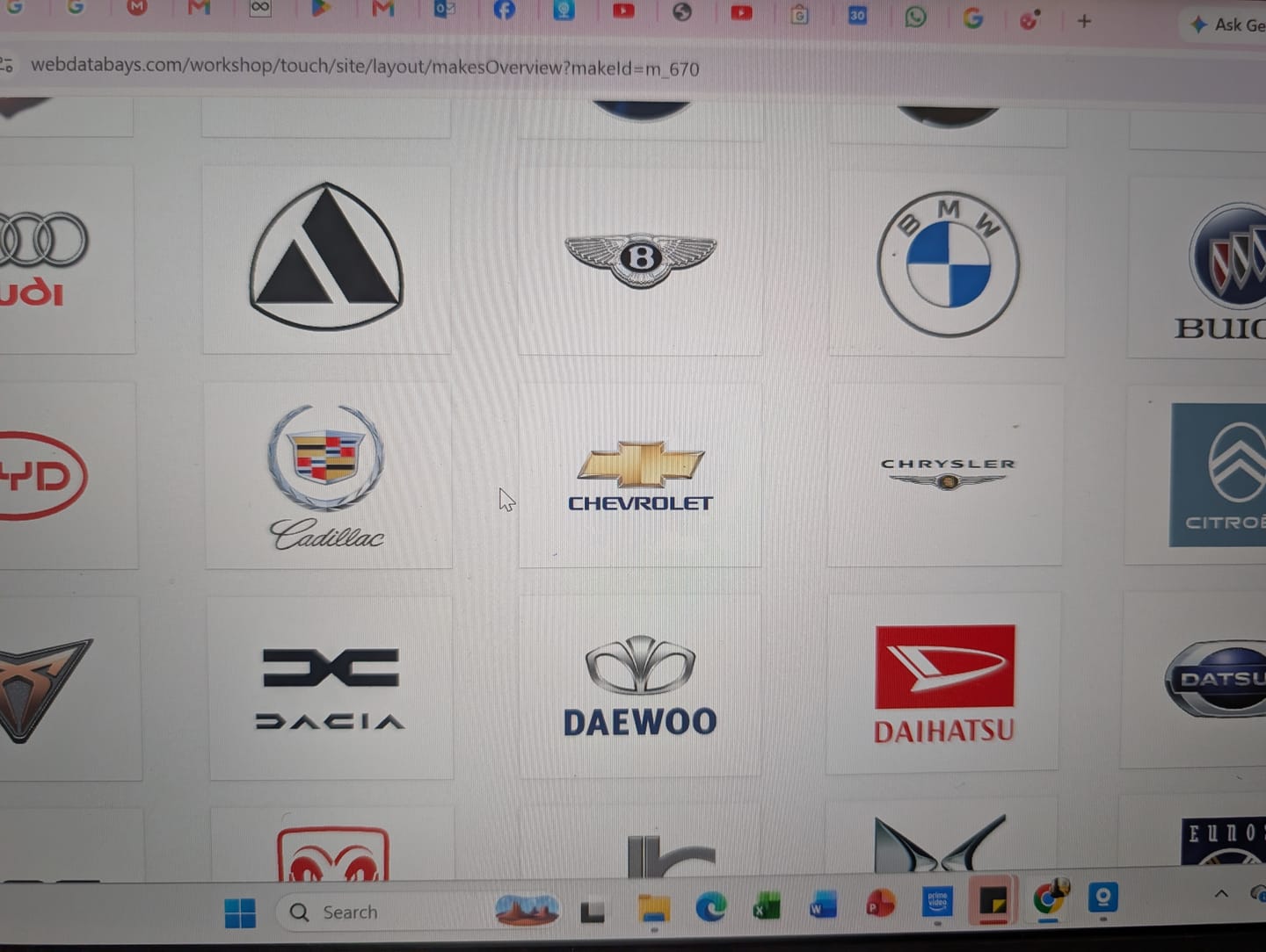 Customer photo review of Professional Repair Database for All Car Brands