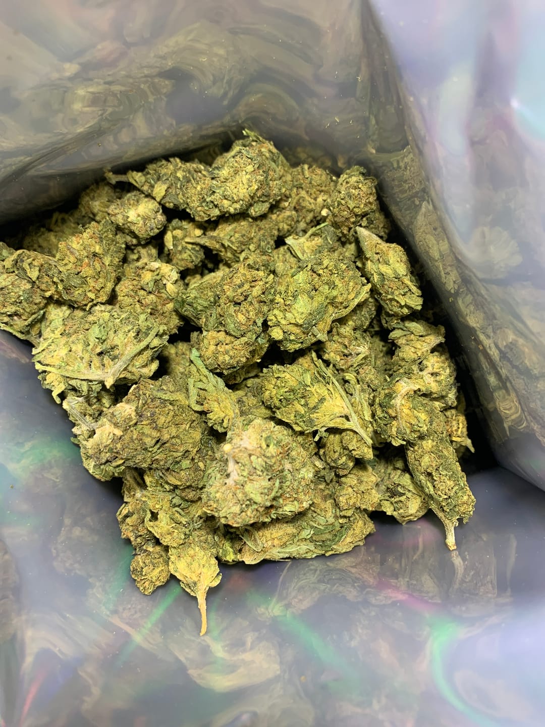 Customer photo review of Hella Jelly - Bulk  - Sativa