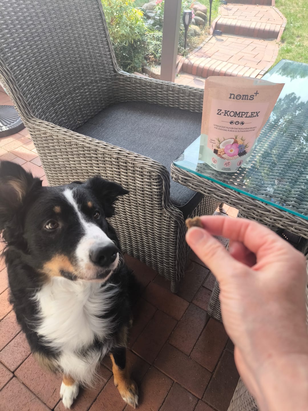 Customer photo review of Z-Komplex für Hunde