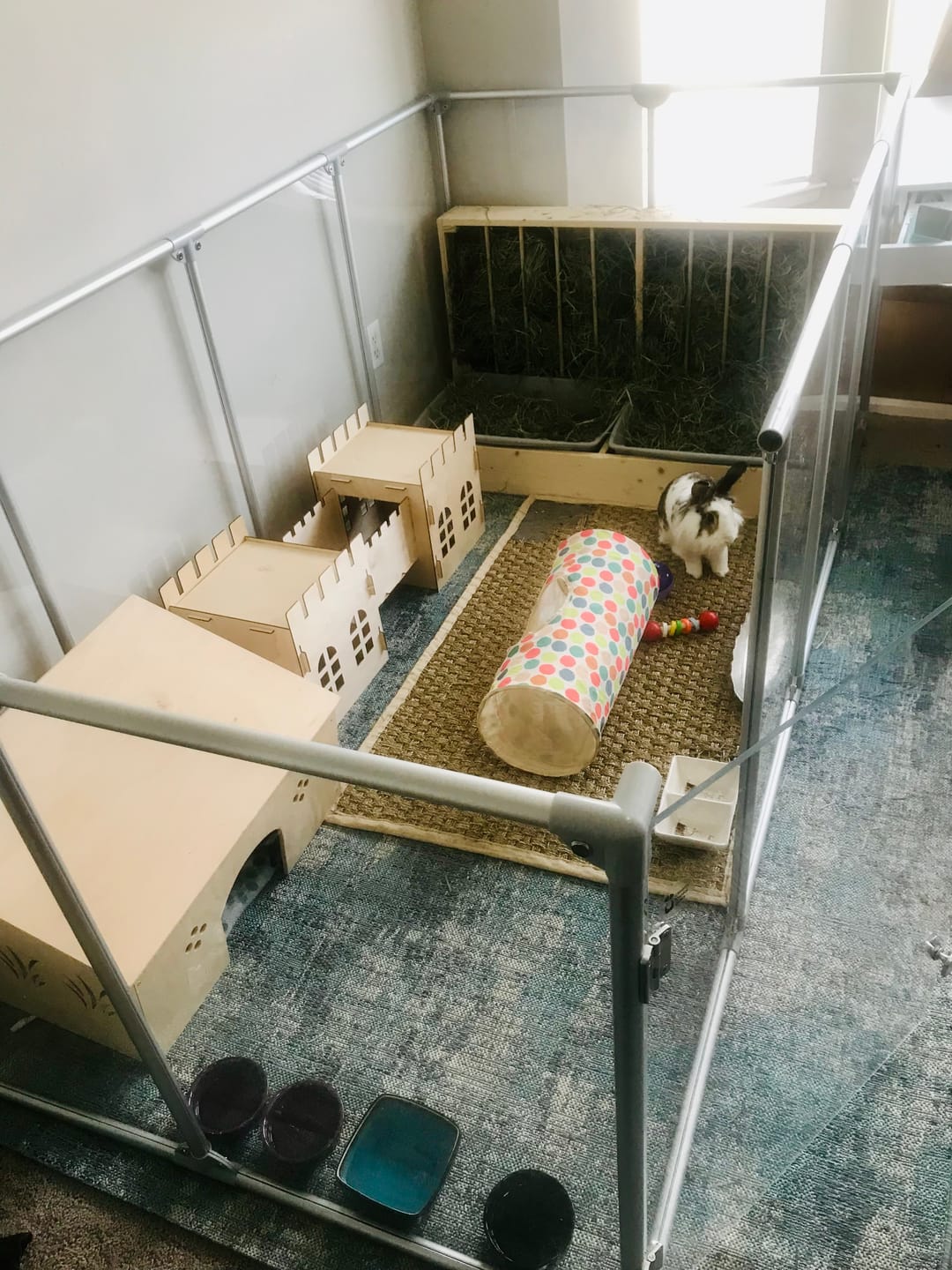 Customer photo review of 36" Tall Large Lucidium Pet Pen