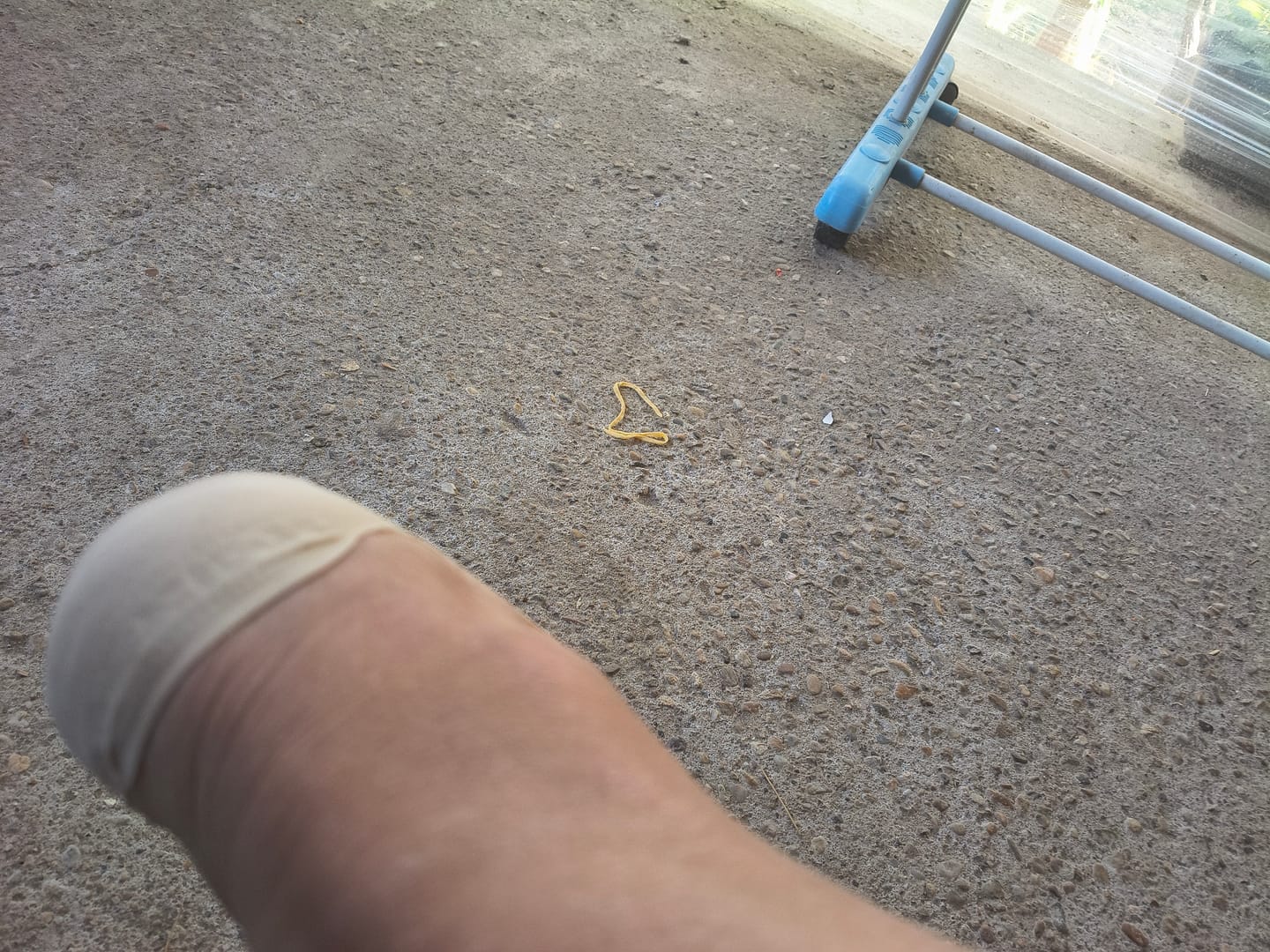 Customer photo review of Șosete Ortopedice pentru Călcâi și Talpă - mărime universală