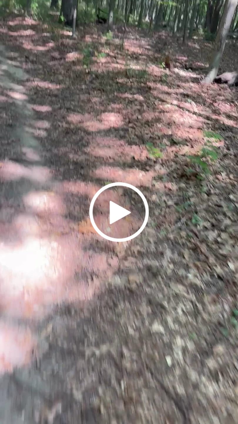 Customer video review of MEEPO 150 x 50 All Terrain Honeycomb Wheels