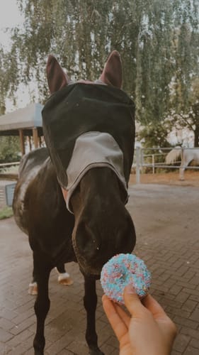 Customer photo review of SPRINKLE DONUT Leckerlie - Pony Bueno