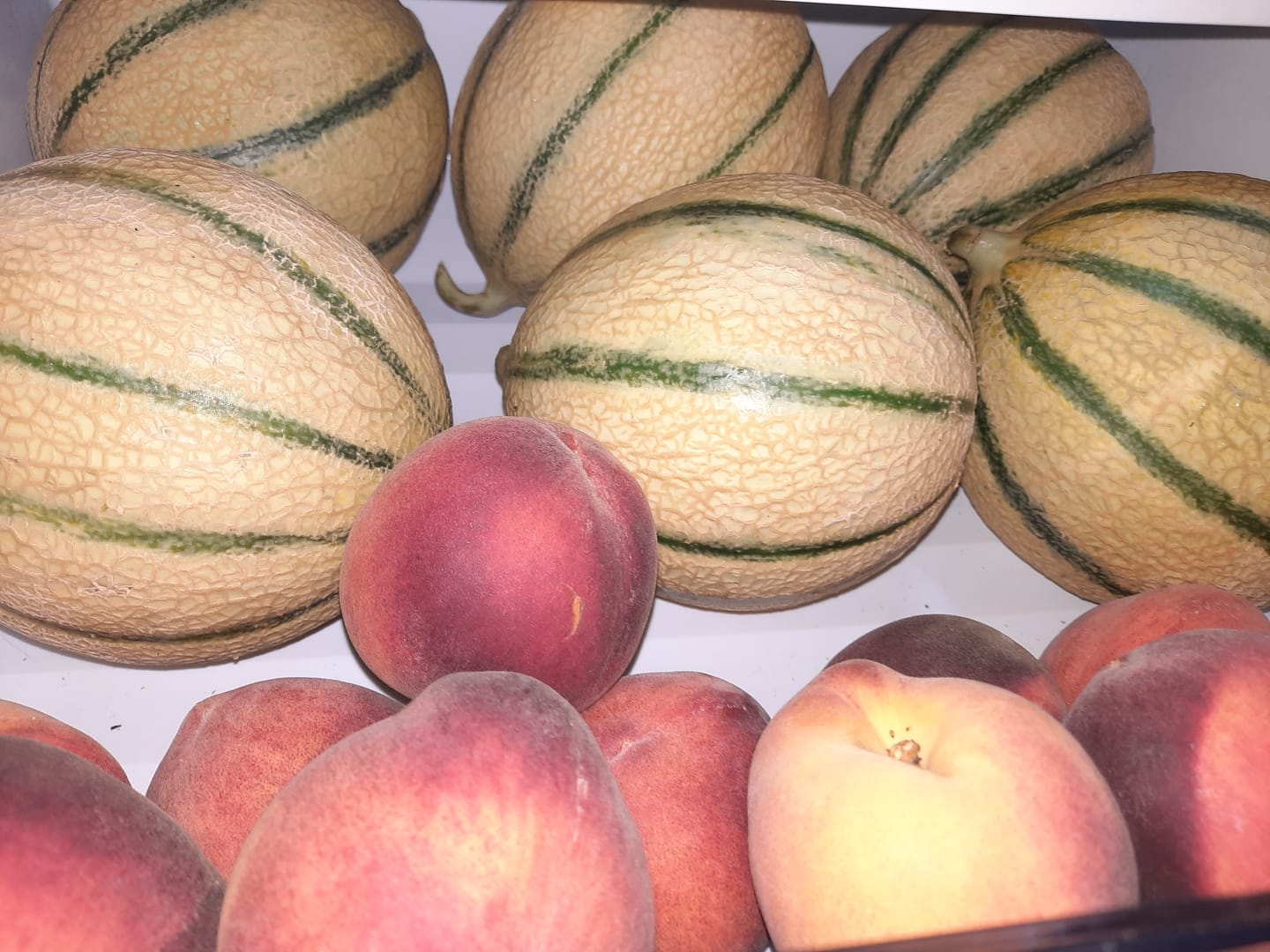 Customer photo review of Melons de Corse - Lot de 3