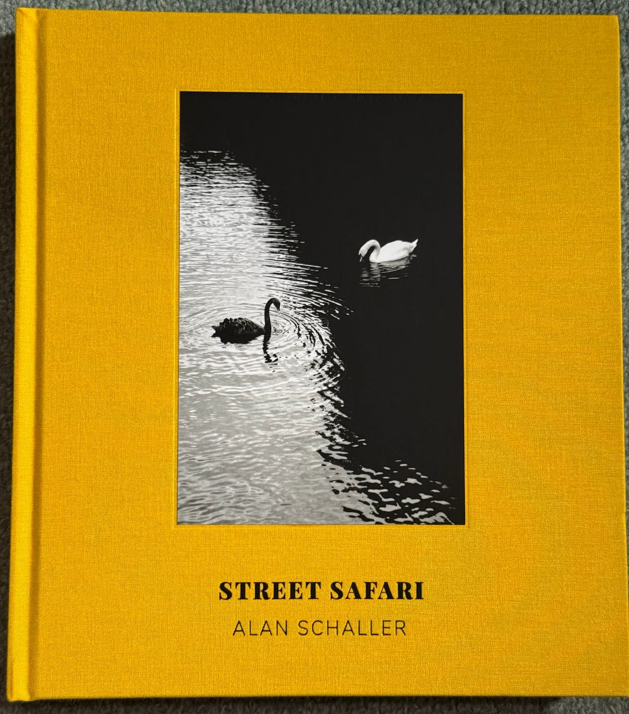 Customer photo review of Street Safari by Alan Schaller – Signed First Edition (Signature Included for the First 400 Orders)