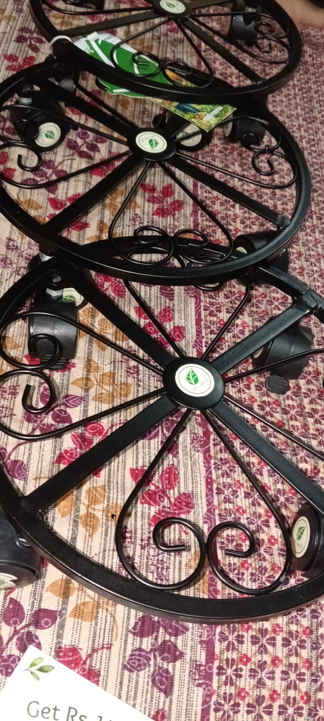 Customer photo review of TryGreen Luna Wheel Rolling Plant Stand for Planters