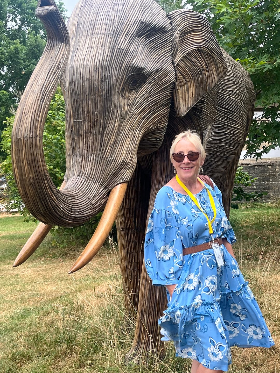 Customer photo review of Vintage Posy Viscose Challis Fabric