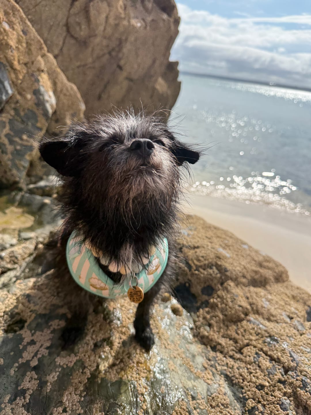 Customer photo review of Create your own Sea Glass Pom Pom Collar