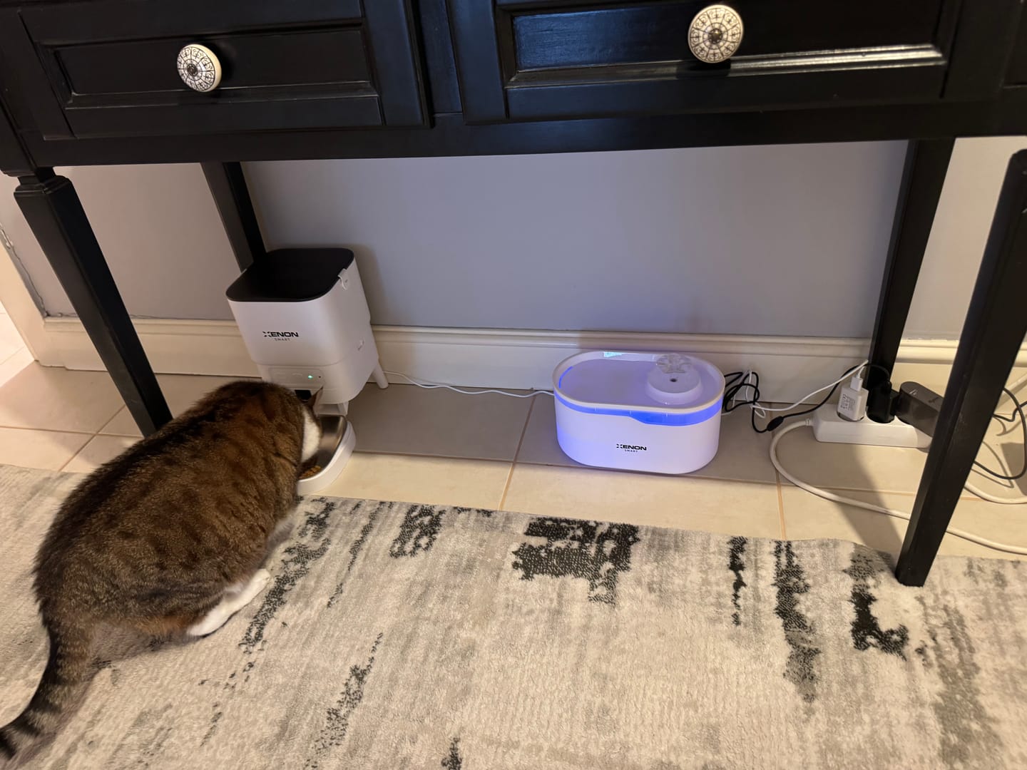 Customer photo review of Kedi Su Pınarı | Ultra Sessiz, Wifi, Akıllı, Otomatik, Su Çeşmesi (Beyaz - X8650)