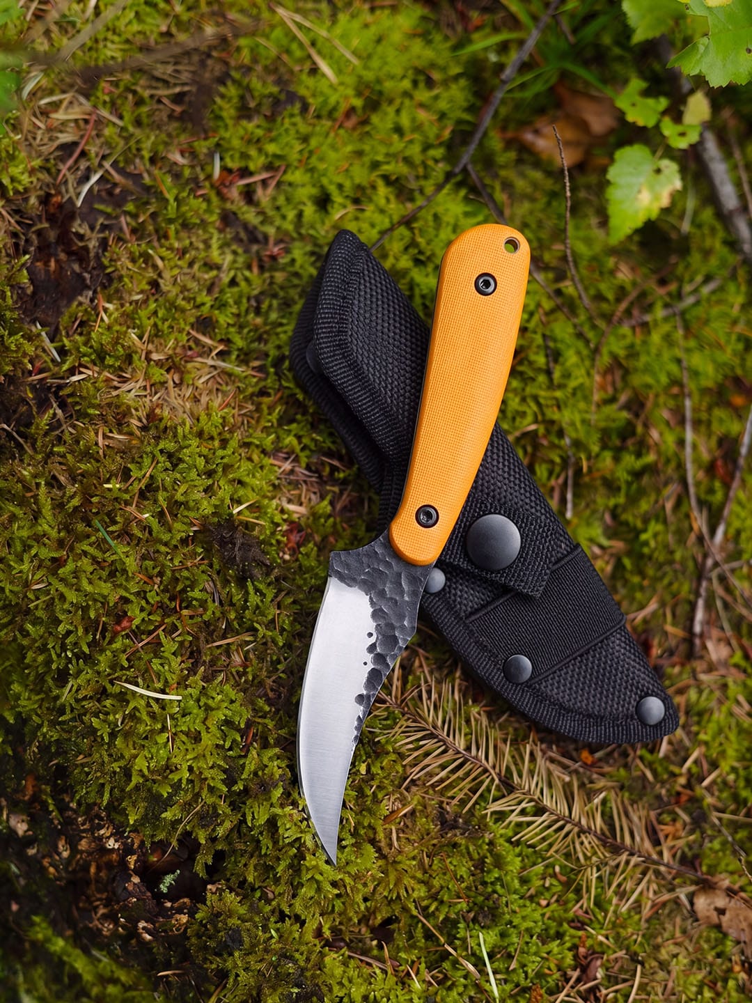 Customer photo review of Scorpion