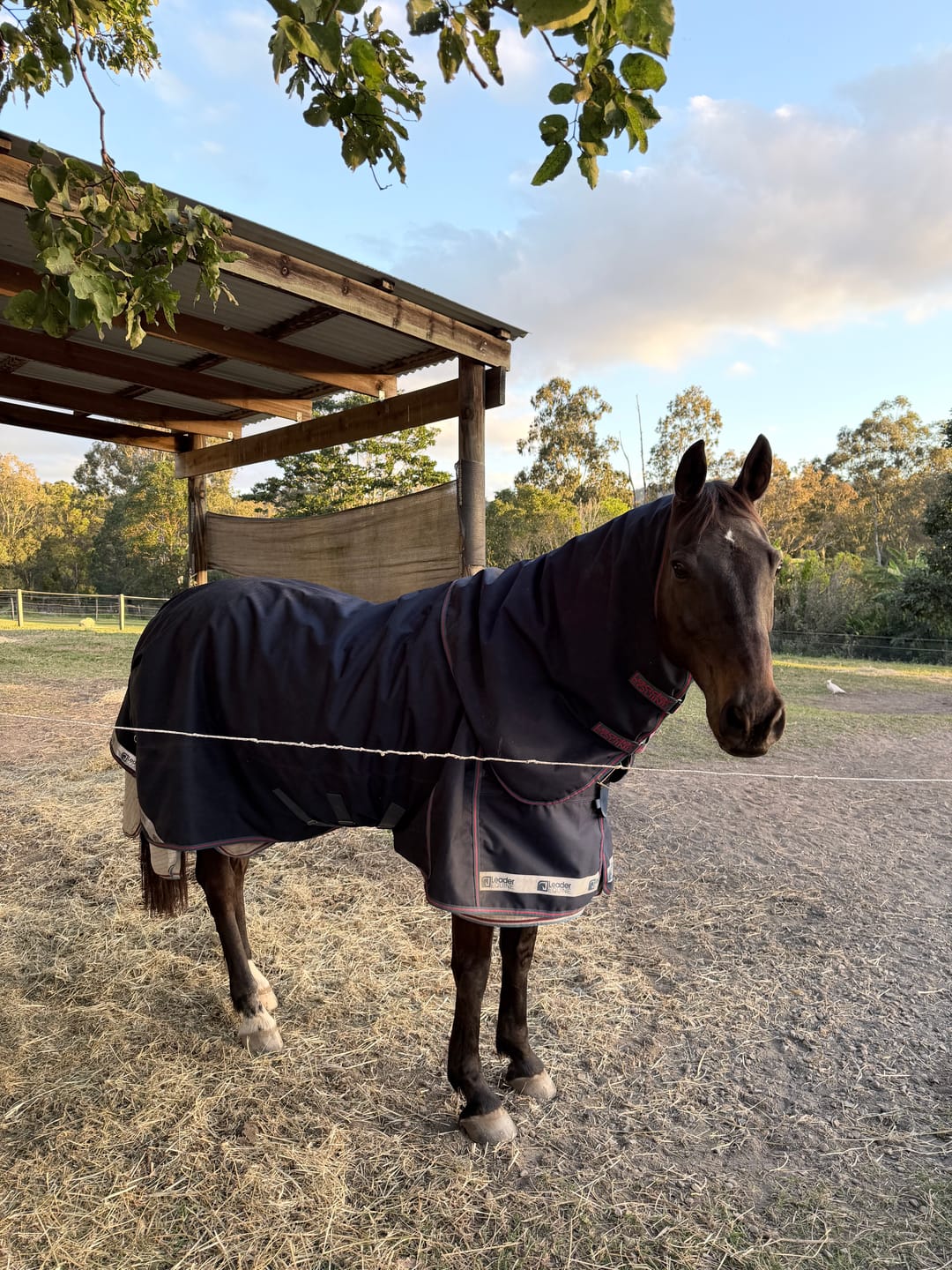 Customer photo review of LE Boxter Turnout Ripstop 0g with Fleece