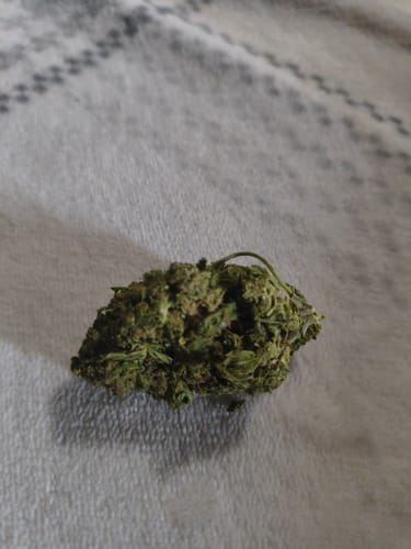 Delta 8 Flower - Garlic Breath photo review