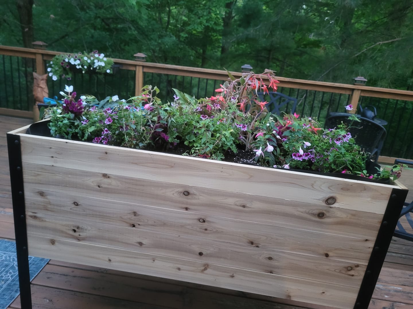 Customer photo review of Anniversary Sale | 18” x 48” Raised Garden Bed