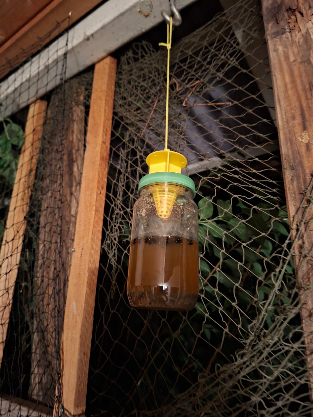 Customer photo review of HorseSafe LiquidTrap – Schluss mit Fliegenstress auf deinem Hof