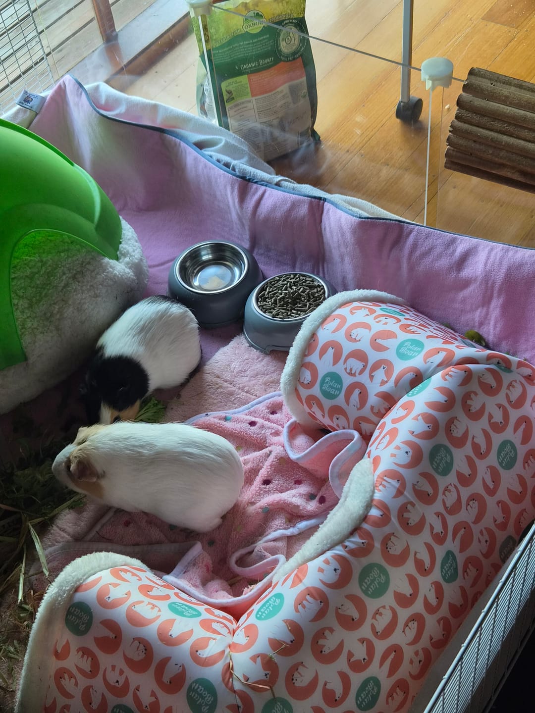 Customer photo review of Baby Pink Fleece Liner for C&C Ozzy Cages