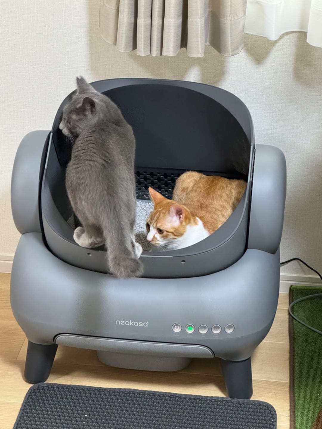 Customer photo review of Neakasa M1 Plus オープン型全自動猫トイレ