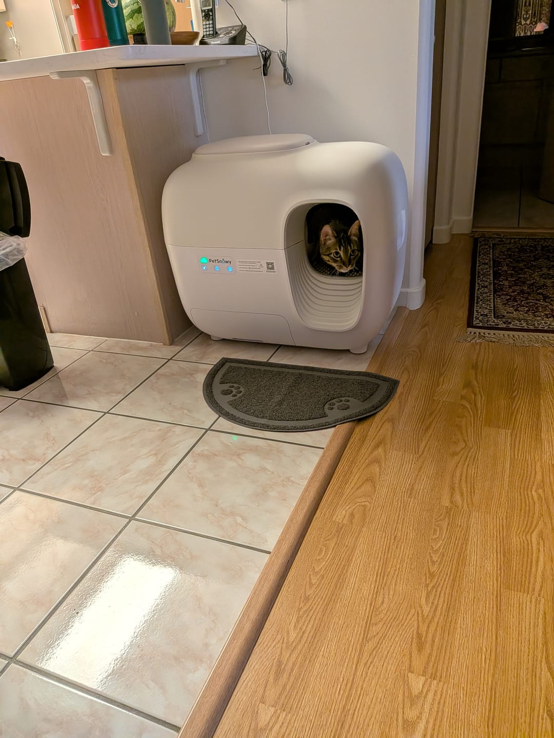 Customer photo review of Self-Cleaning Litter Box