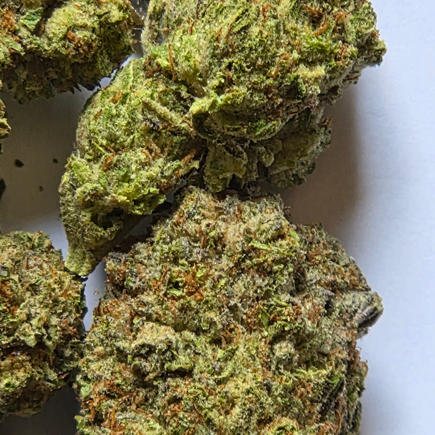 Customer photo review of Truffle - Bulk - Indica
