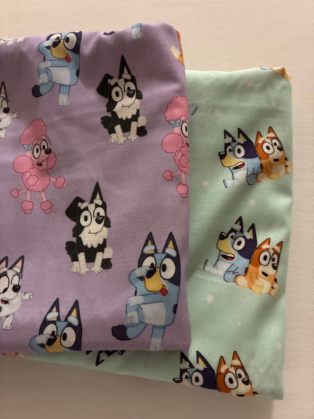 Customer photo review of Bluey Bingo Best Friends by Springs Creative